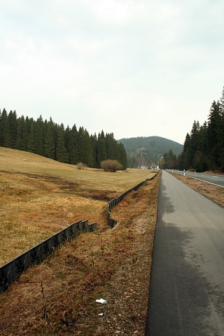 Leiteinrichtung Amphibien